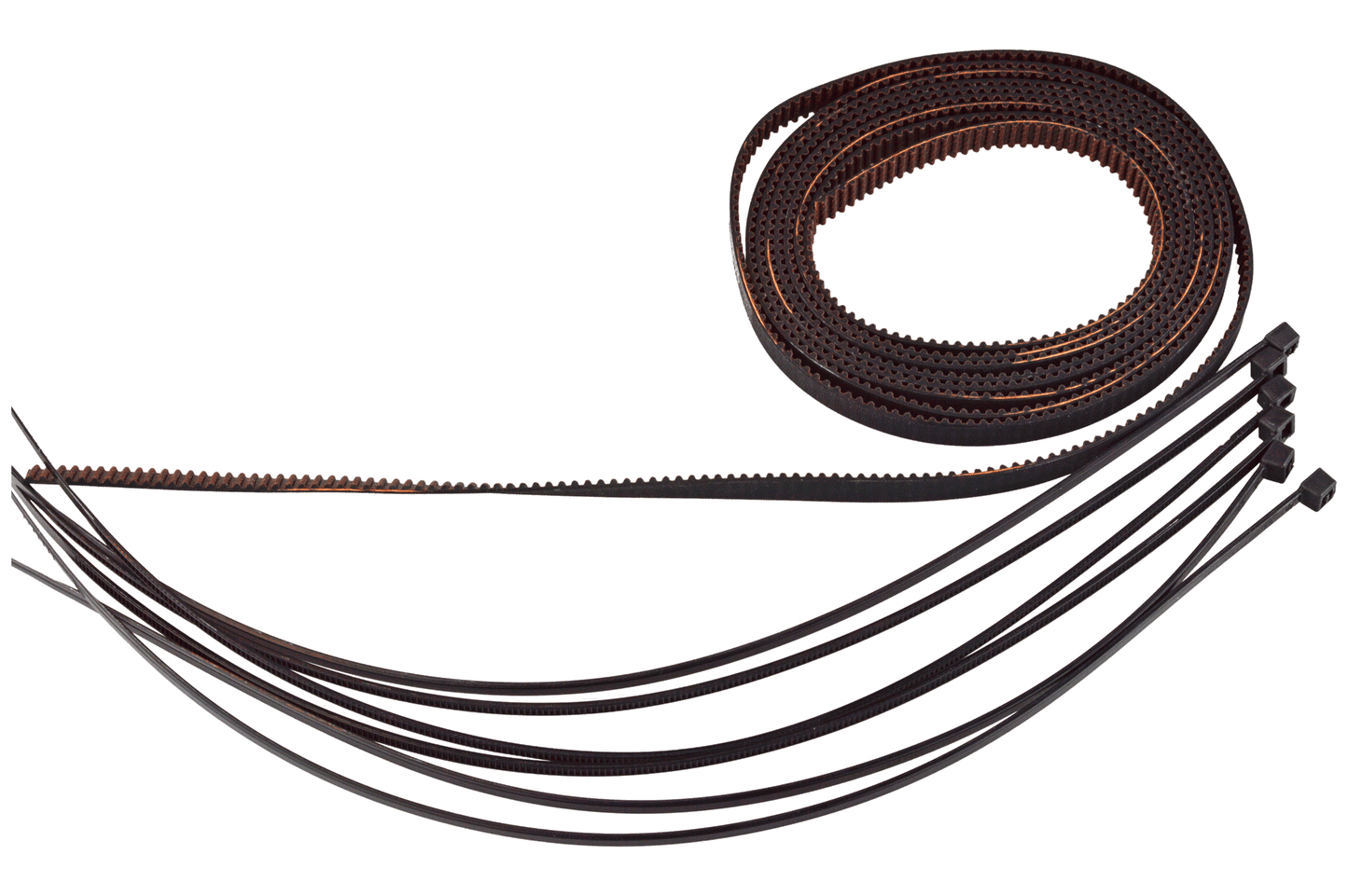 Formbot Troodon X/Y Belt for 300